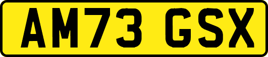AM73GSX