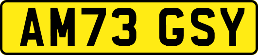 AM73GSY
