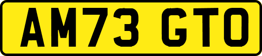 AM73GTO
