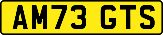 AM73GTS