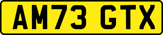 AM73GTX