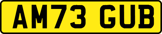 AM73GUB