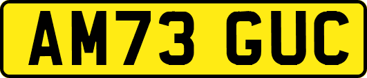 AM73GUC