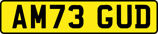 AM73GUD