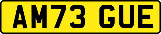 AM73GUE