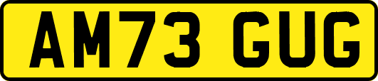 AM73GUG