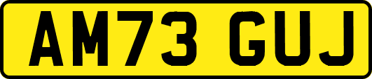 AM73GUJ