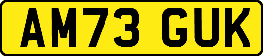 AM73GUK