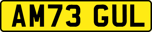 AM73GUL