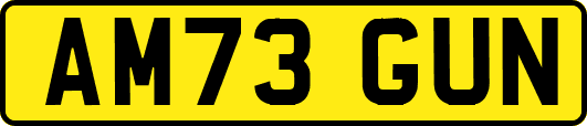 AM73GUN