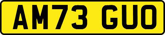 AM73GUO