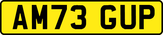 AM73GUP