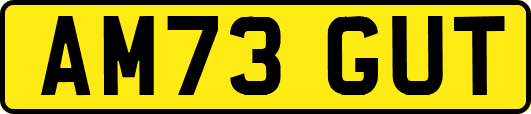 AM73GUT