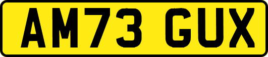 AM73GUX