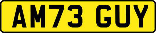 AM73GUY