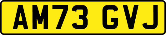 AM73GVJ