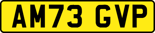 AM73GVP
