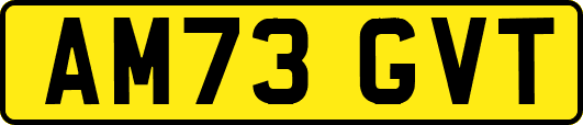 AM73GVT
