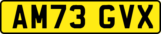 AM73GVX