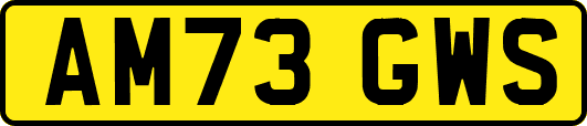 AM73GWS