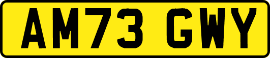 AM73GWY