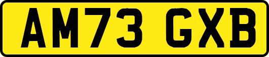 AM73GXB