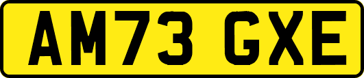 AM73GXE