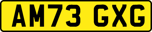 AM73GXG