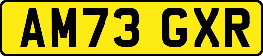 AM73GXR