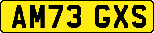 AM73GXS