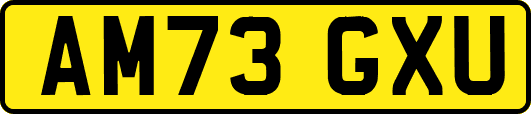 AM73GXU