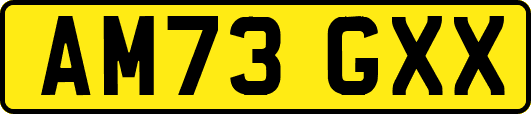 AM73GXX