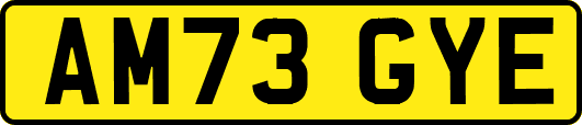 AM73GYE