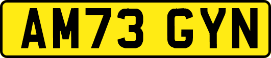 AM73GYN