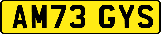 AM73GYS