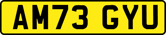 AM73GYU