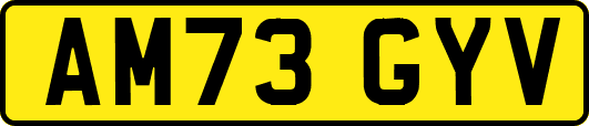 AM73GYV