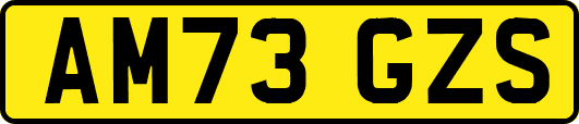 AM73GZS