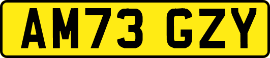 AM73GZY