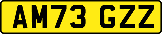 AM73GZZ