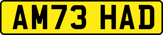 AM73HAD