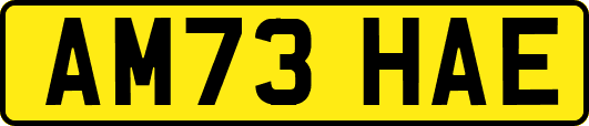 AM73HAE
