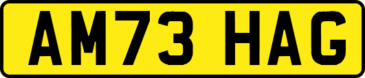 AM73HAG