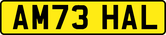 AM73HAL