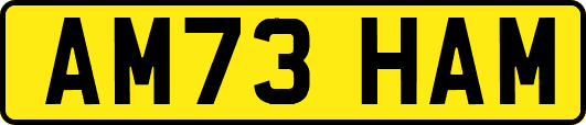 AM73HAM