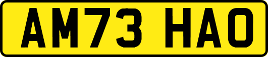 AM73HAO