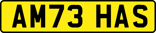 AM73HAS