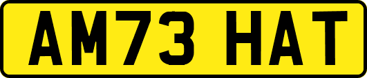 AM73HAT
