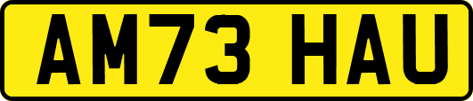 AM73HAU