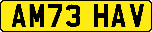 AM73HAV